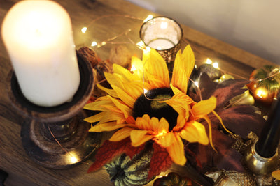SHOP OUR AUTUMN COLLECTION